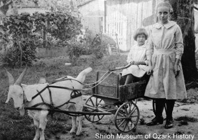 Children with their goat cart, Johnson, about 1910
