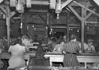 Springdale Canning Company, Springdale, Arkansas, 1943
