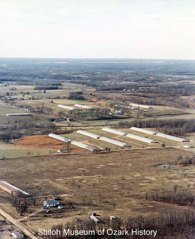 Chicken houses for Brown’s LedBrest, Inc., between Springdale and Fayetteville, Arkansas, about 1970.