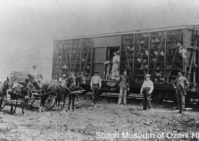 Shipping poultry to New York from Burt Snow Produce, Carroll County, Arkansas, 1910s.
