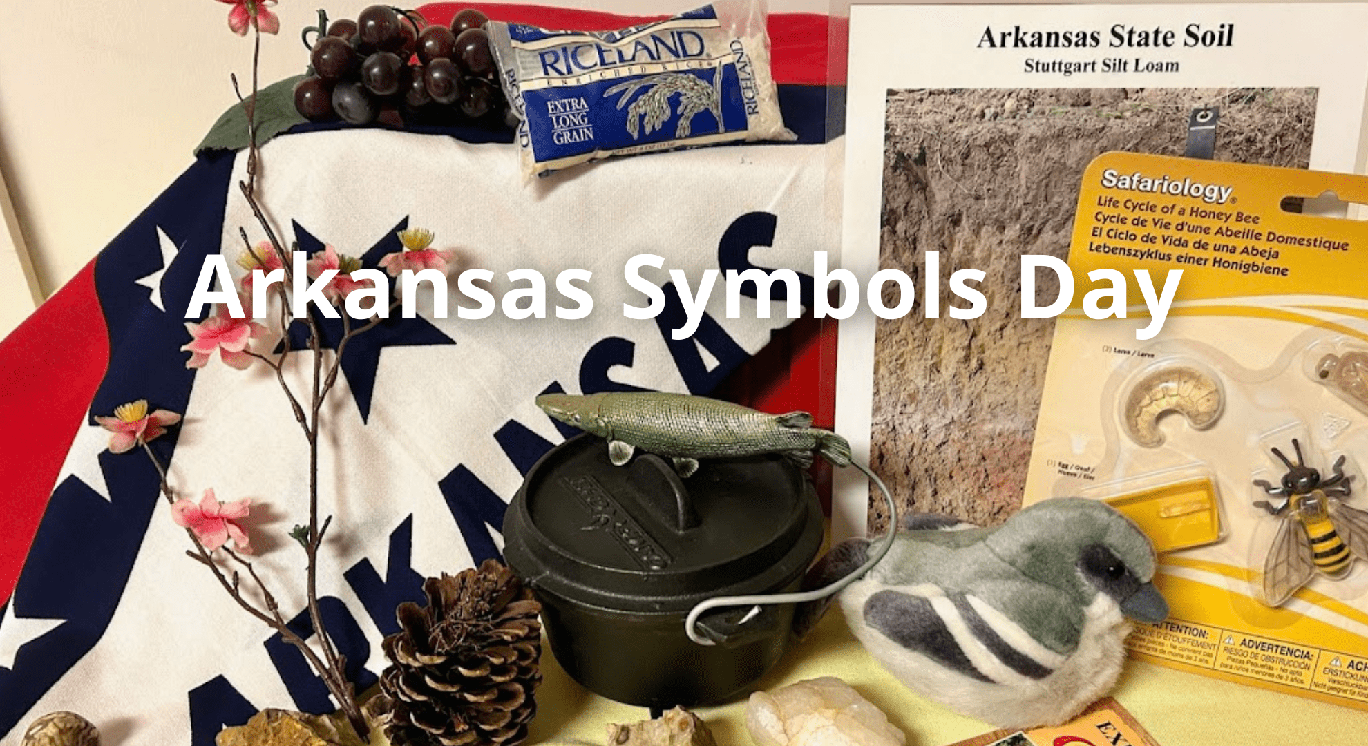 Red, white, and blue Arkansas flag in left corner, bag of Riceland rice, photo of Stuttgart soil from the Arkansas delta, small Dutch oven with a green plastic fish on top.