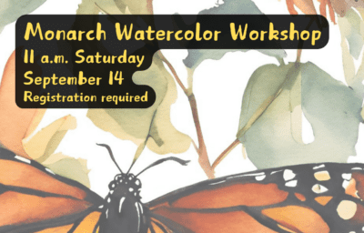 Watercolor painting of monarch butterflies and flowers with the words, “Monarch Watercolor Workshop, 11 a.m. Saturday, Sept. 14, Registration required."