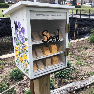 Image of a white, wooden box on a post with a glass door with the word "Seed" painted on it. At the top are the words, "PLEASE TAKE ONLY WHAT YOU NEED." Behind the glass door are three rows of small manila envelopes with different seed names written on them. On the one side visible on the box is a painting of lavender and yellow flowers with a dark butterfly at the top. In the background are small plants spaced apart, a creek, a bridge going over it, a sidewalk, a yard, and a street off in the distance with buildings and cars in parking lots.