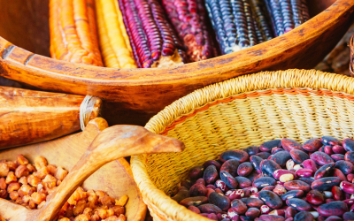 Photo featuring a detail of dried corn cobs in a wooden bowl and different types of beans in baskets.