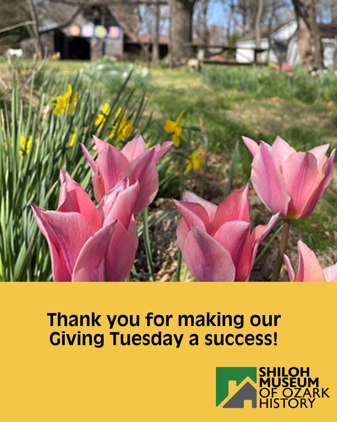 β€οΈ Youβve made this our best Giving Tuesday yet! You helped us raise $4,580 for public history education and preservation. π Thank you for your support. Your donations help make our work possible!
#OzarkHistory #ArkansasHistory #PreserveHistory