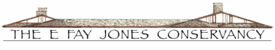 Illustration of a rustic roof with two stone chimneys, wood beams, and textured shingles. The triangular ends have window panels, conveying a traditional charm. The words “The E Fay Jones Conservancy” is below the image.